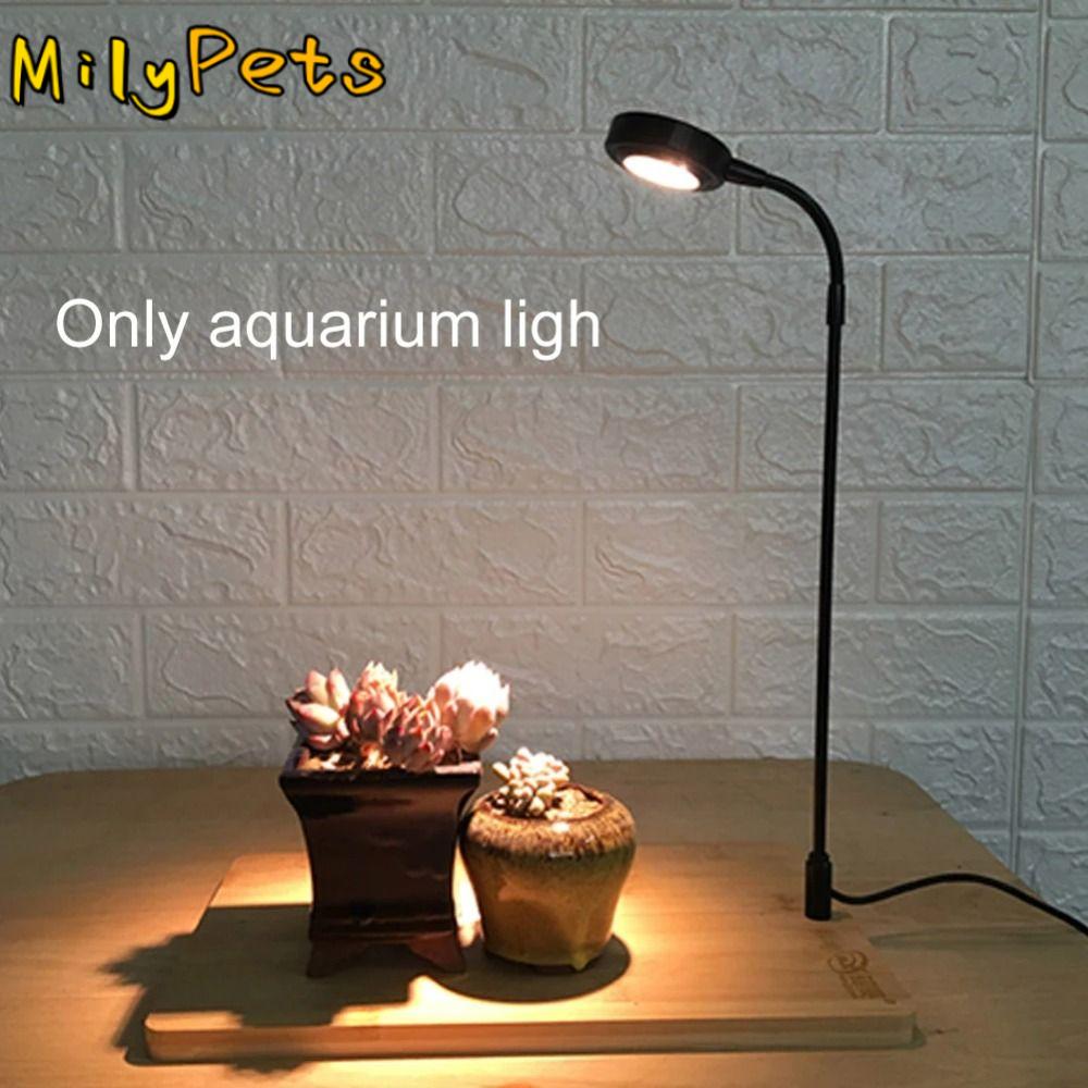 Aquarium Plant On Wood - 10W Akvaryum Bitki Yetiştirme Lambası Ahşap