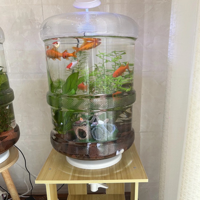 Aquarium Planted Setup - Anında Kurulum Ev Tipi Akvaryum 30x30cm