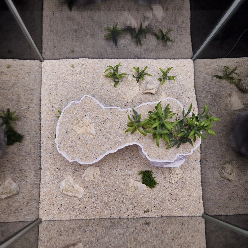 Akvaryum 3D Baskılı Dikim Sepe - Aquarium Planted Tank Soil incelemesi ve fiyatı