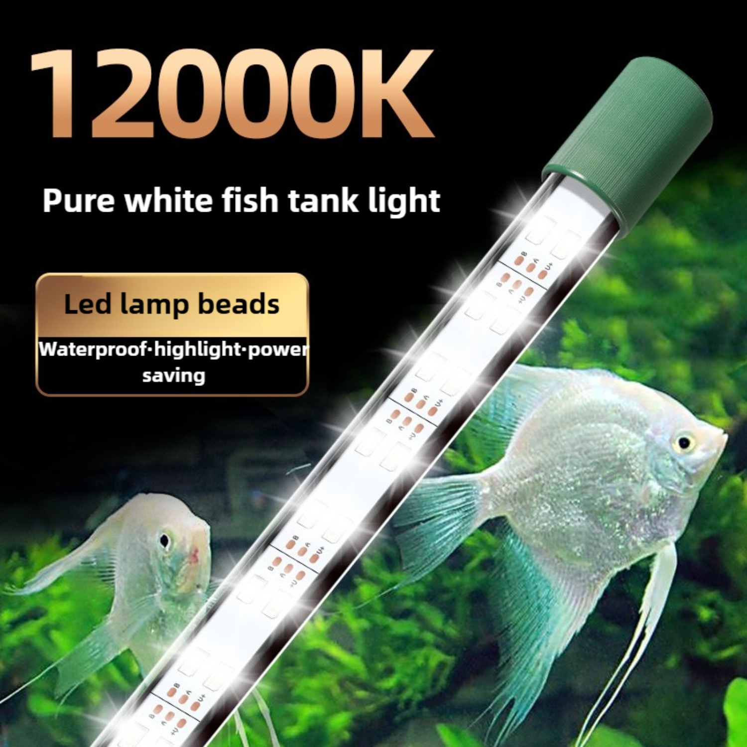 LED Akvaryum Işık Tüpü 25W Bal - Planted Aquarium Youtube incelemesi ve fiyatı