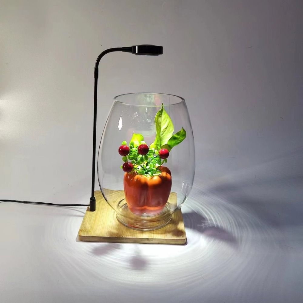10W Akvaryum Bitki Yetiştirme  - Aquarium Plant On Wood incelemesi ve fiyatı