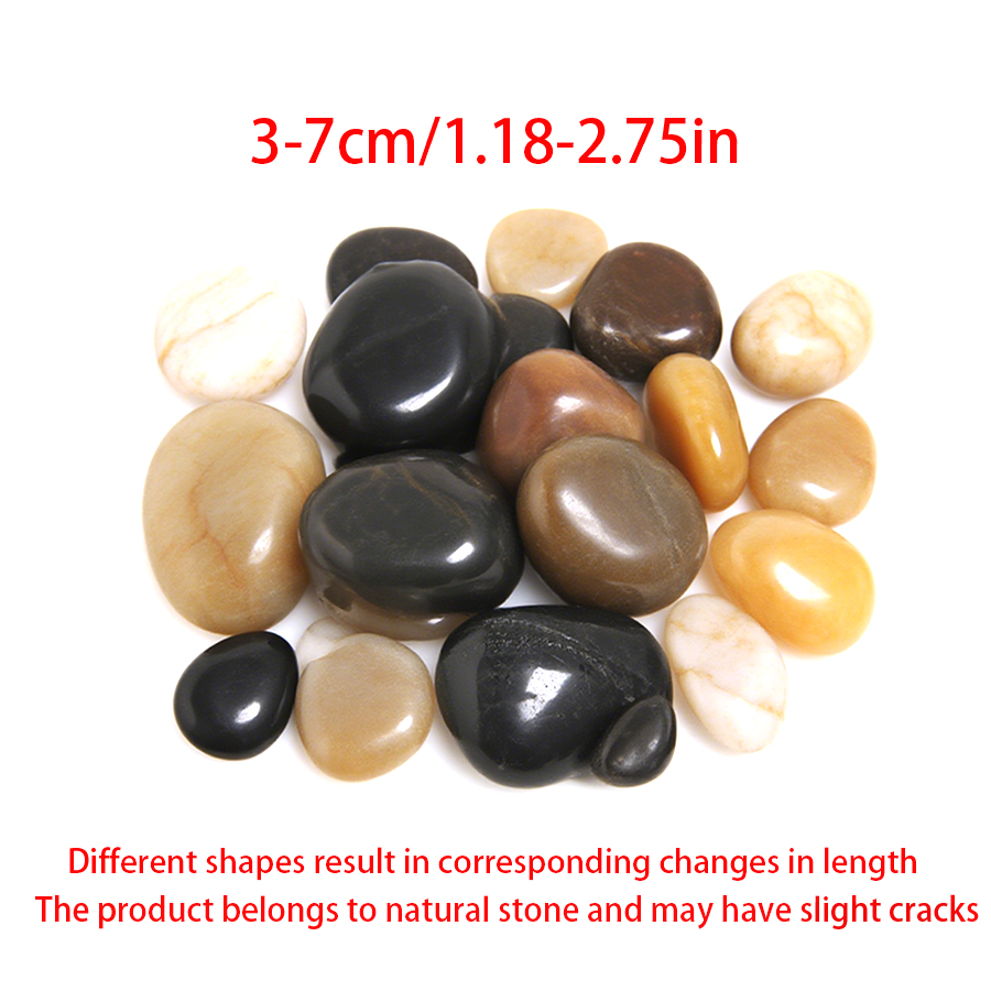 300-700g Düz Yüzeyli Nehir Çak - Aquarium Planted Fish Tank incelemesi ve fiyatı