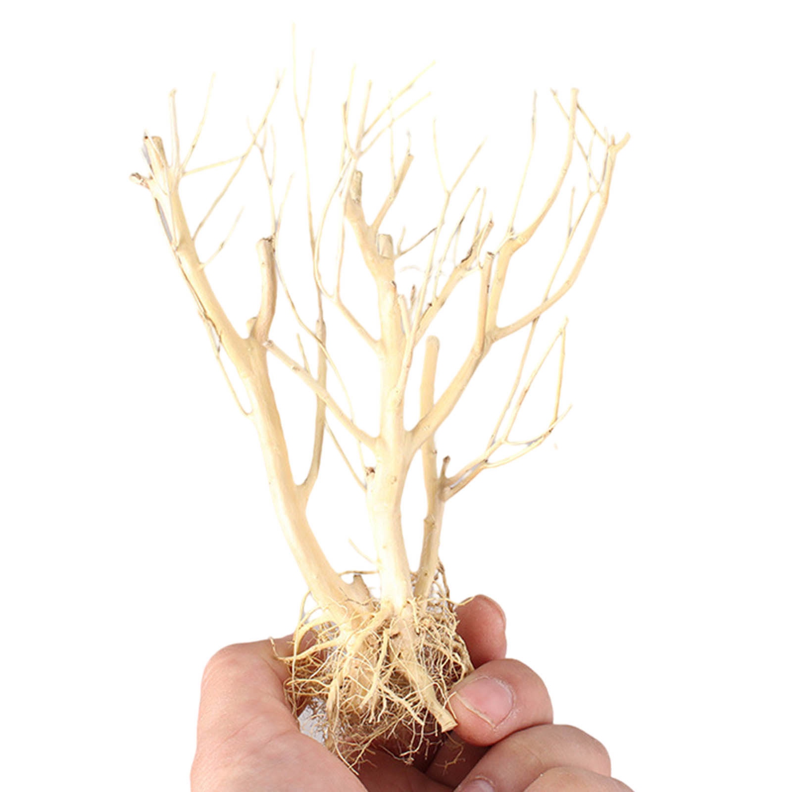 Yeni DIY Driftwood Akvaryum Yo - Aquarium Plant On Wood incelemesi ve fiyatı