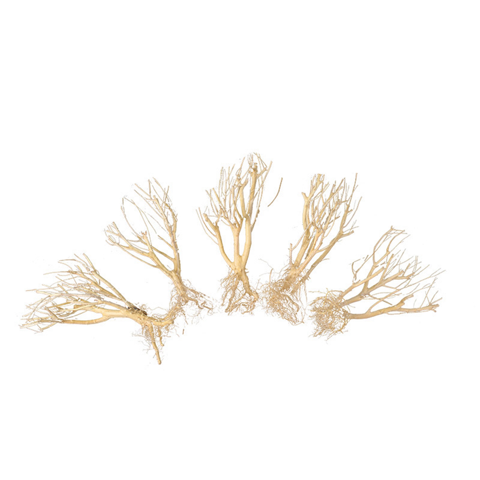 Yeni DIY Driftwood Akvaryum Yo - Aquarium Plant On Wood incelemesi ve fiyatı