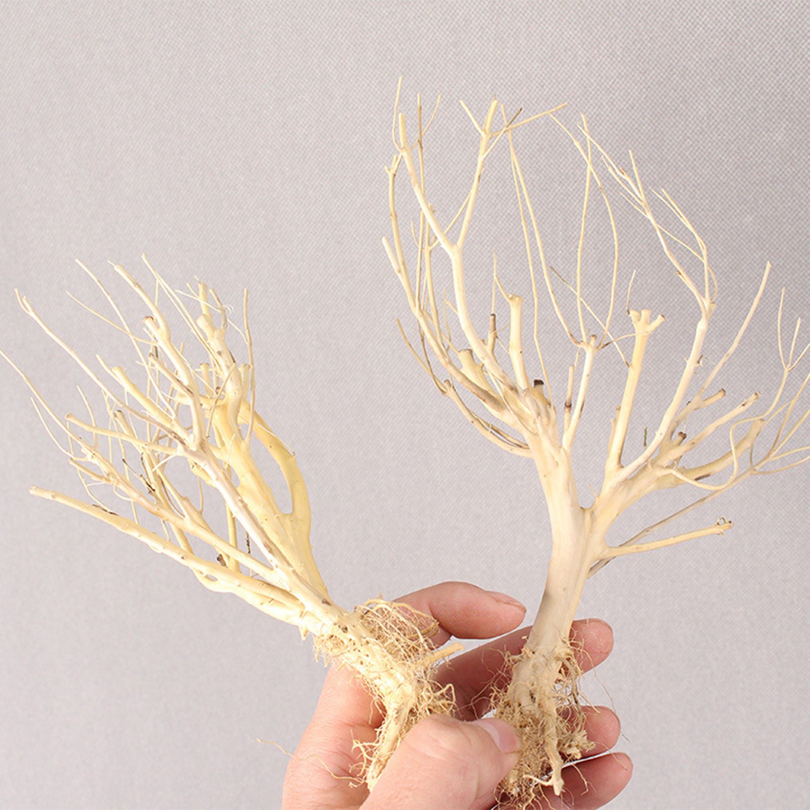 Yeni DIY Driftwood Akvaryum Yo - Aquarium Plant On Wood incelemesi ve fiyatı