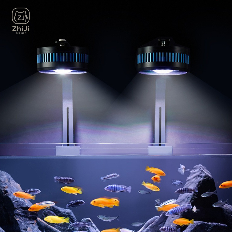 Balık Tankı Downlight Led Tam  - Aquarium Plant On Wood incelemesi ve fiyatı