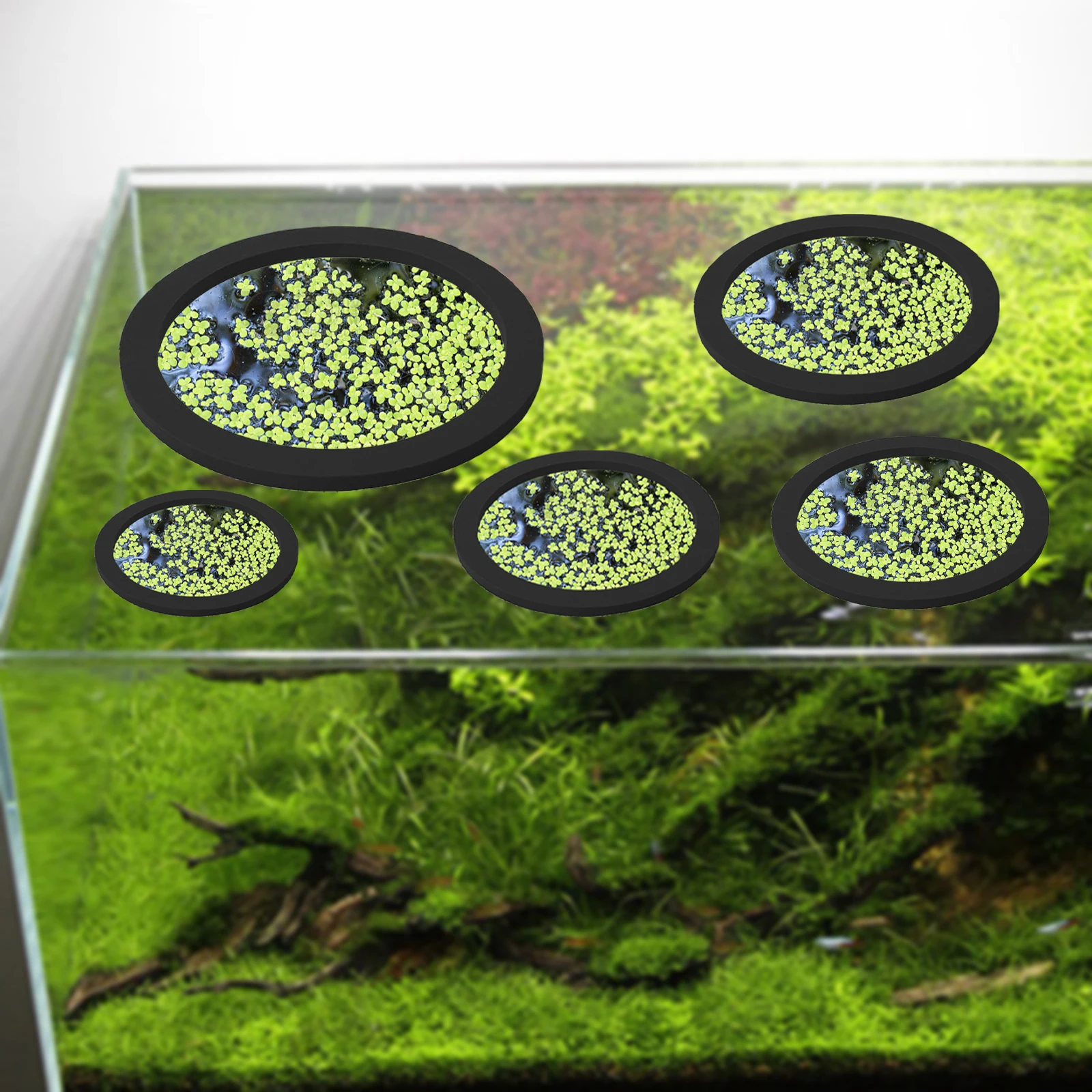 5 adet EVA balık besleme halka - Aquarium Planted Fish Tank incelemesi ve fiyatı
