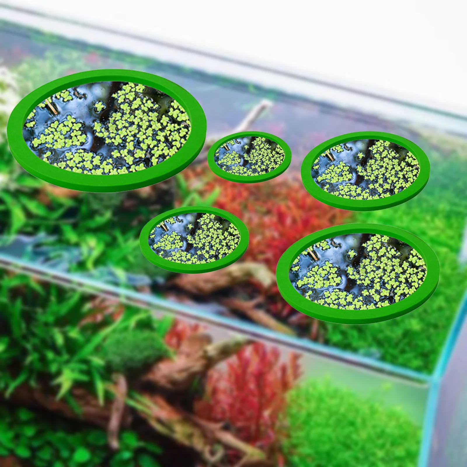 5 adet EVA balık besleme halka - Aquarium Planted Fish Tank incelemesi ve fiyatı