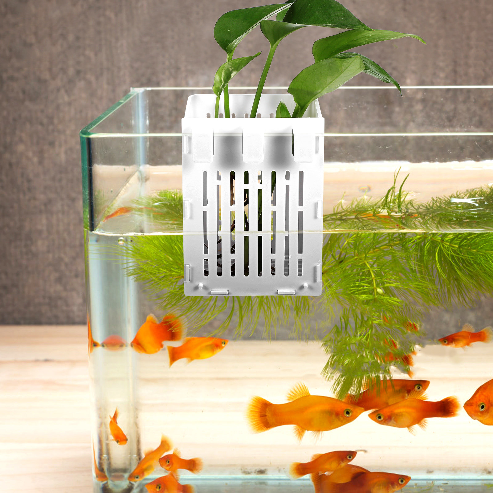 2 Adet Su Bitkisi Sepeti Asılı - Aquarium Planted Setup incelemesi ve fiyatı