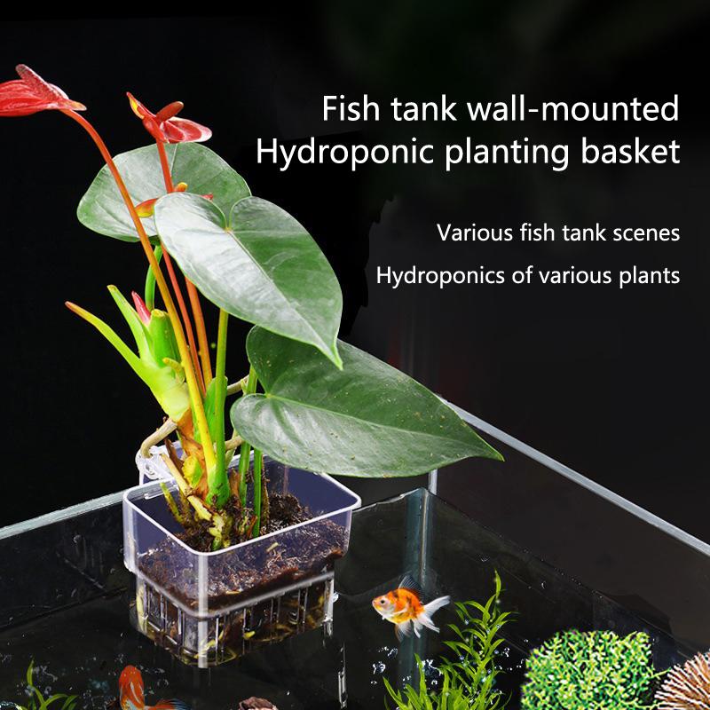 Akvaryum Hidroponik Dikim Kabı - Aquarium Planted Setup incelemesi ve fiyatı