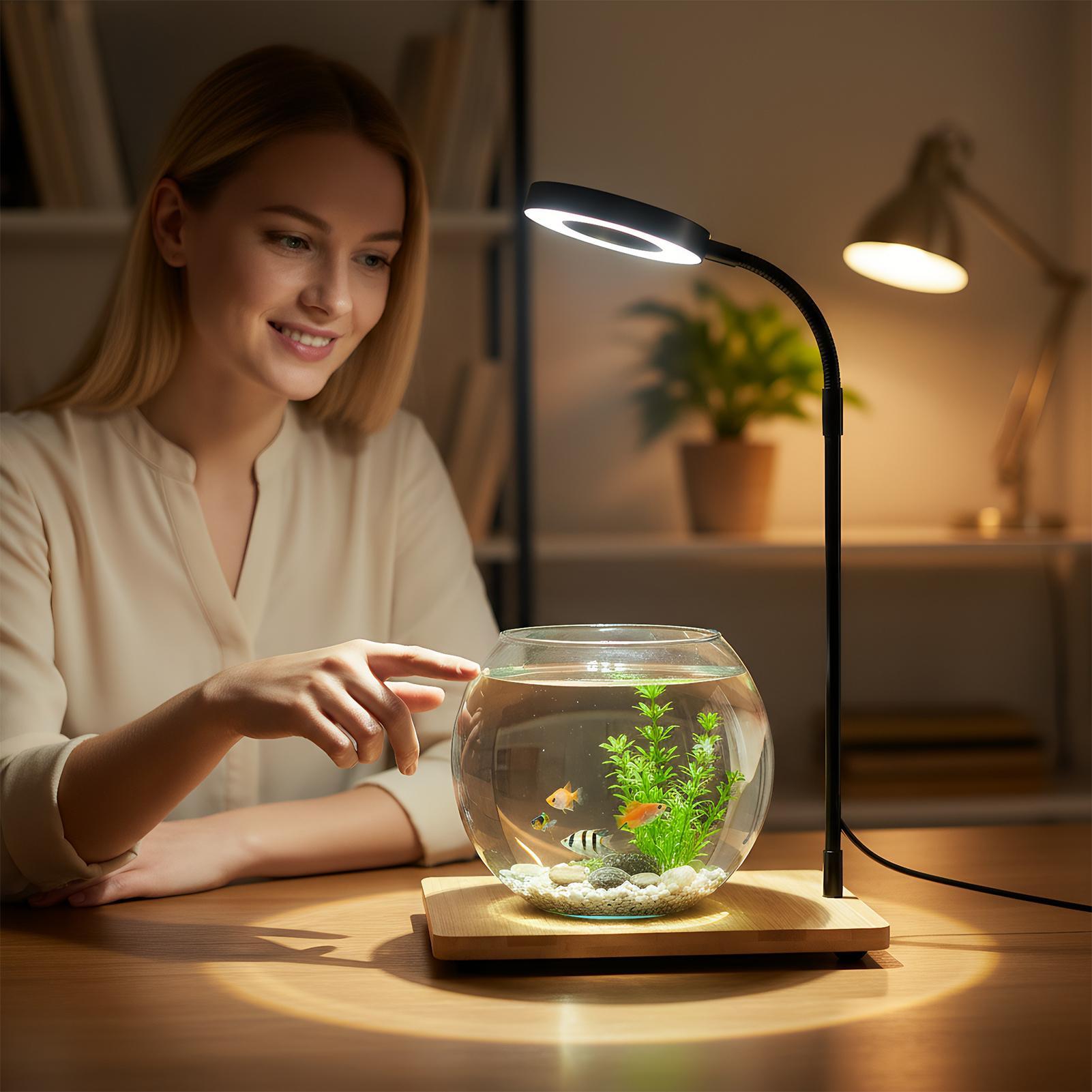 Ahşap Tabanlı İç Mekan Yetişti - Aquarium Plant On Wood incelemesi ve fiyatı
